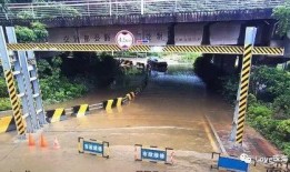 永久免费吃瓜群,加入吃瓜群，开启欢乐无限之旅